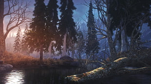 brown and white tree painting, The Elder Scrolls V: Skyrim, landscape, pine trees, The Elder Scrolls