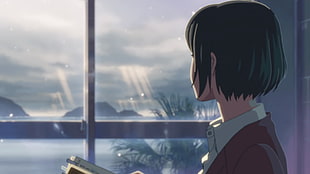 black haired female anime character digital wallpaper, anime, Makoto Shinkai , The Garden of Words HD wallpaper