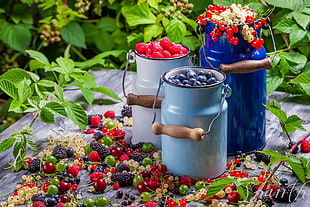 photography of containers filled with berries
