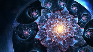 blue and pink digital wallpaper, abstract, fractal flowers, fractal HD wallpaper