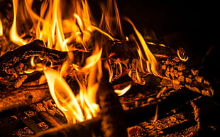 bonfire, fire, long exposure, wood, embers HD wallpaper