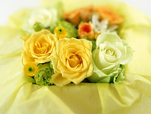 two yellow Roses and one white Rose