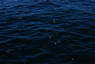 Sea,  Water,  Surface