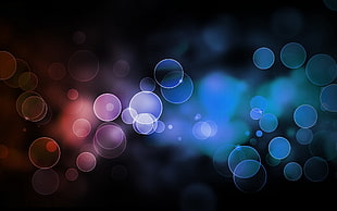 multicolored bokeh photography, abstract