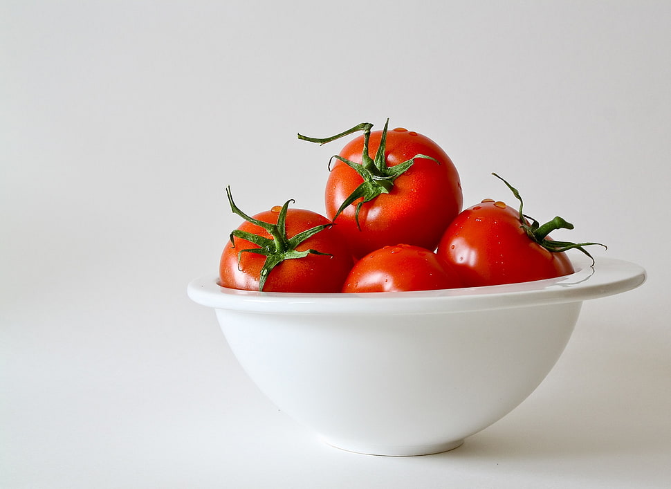 tomatoes on white ceramic bowl HD wallpaper