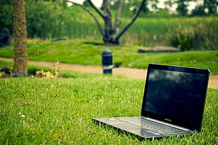 black and gray laptop computer on green field grass