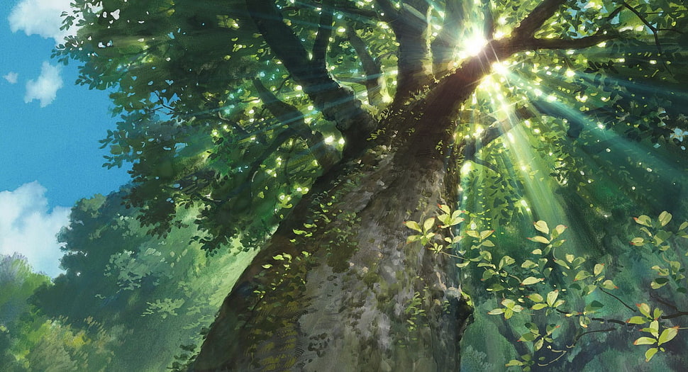 green leafed tree, nature, sunlight, trees, sun rays HD wallpaper