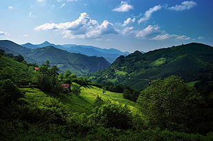 green mountain, nature, landscape, trees, Spain HD wallpaper