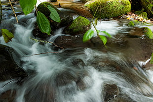 time lapse photo of water on the river flowing HD wallpaper