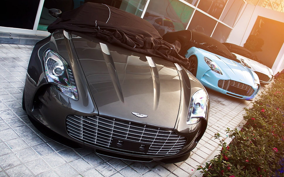 black car, car HD wallpaper