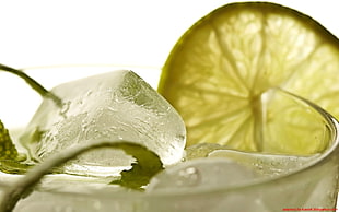 ice and sliced lemon, drink, cocktails, ice cubes, limes