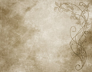  HD wallpaper
