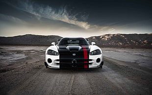black, red, and white Dodge Viper, car, Dodge Viper