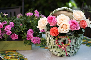 white, pink and red rises in brown wicker basket