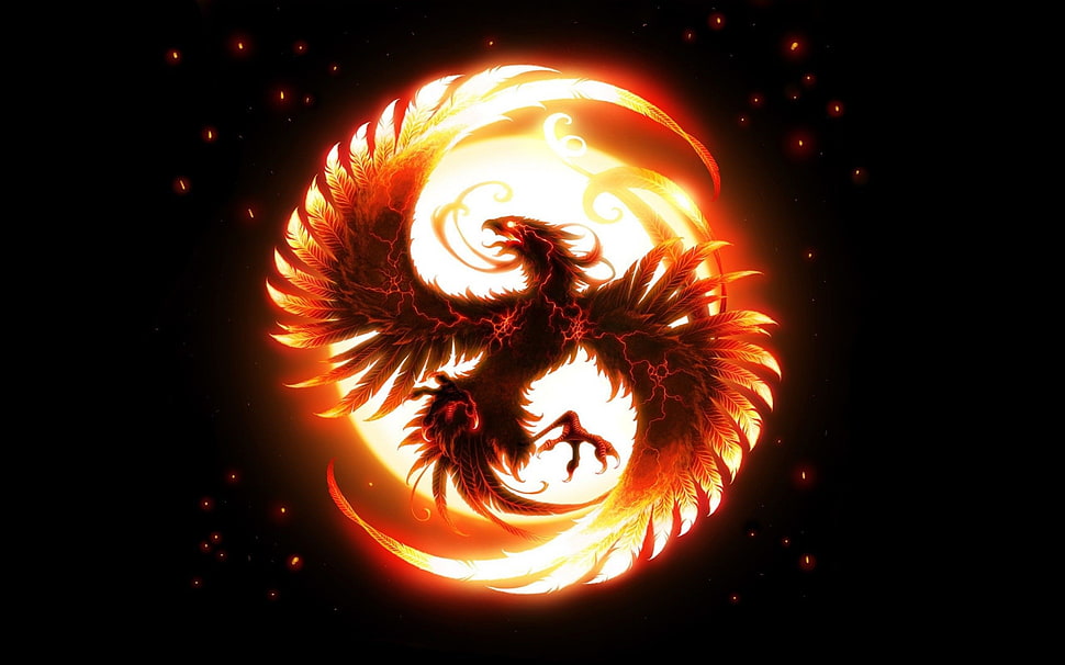 phoenix digital wallpaper, phoenix, Vonikk, simple background HD wallpaper