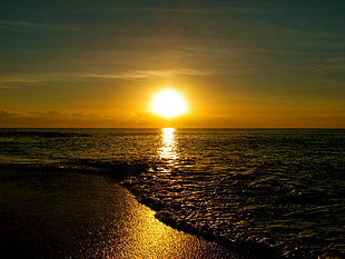 beach shore during sunrise HD wallpaper
