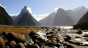 landscape photo of seashore between mountains