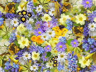 top view photo of purple, white and yellow flowers HD wallpaper