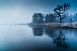body of water, water, trees, frozen lake