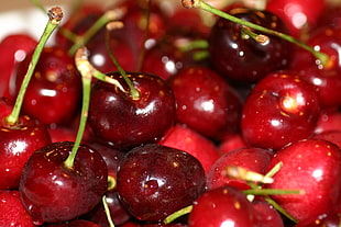 cherry fruit on close-up view photography