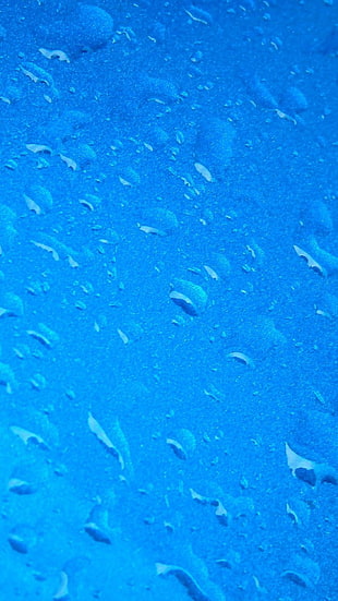 water droplets, wet, water HD wallpaper