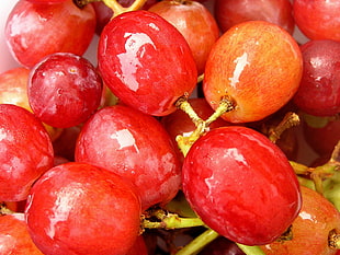 red grapes HD wallpaper