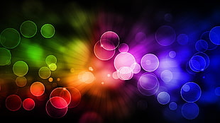 assorted color of bokeh photography