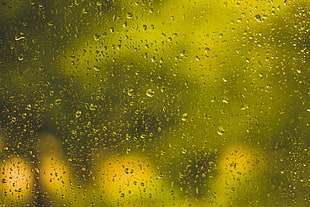 Drops,  Glass,  Surface,  Yellow
