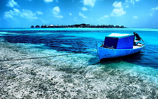 blue and white fishing boat beside the seashore