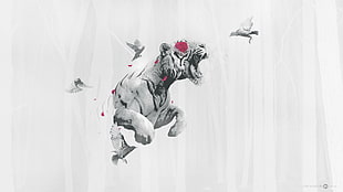 tiger illustration, tiger, birds