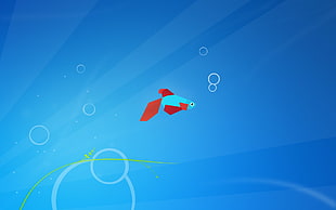 blue and red fish digital wallpaper, Windows 7, Microsoft Windows, fish