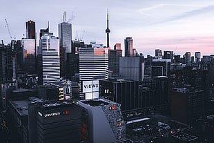 black high-rise building, cityscape, Canada, Toronto, building