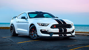 white 5-door hatchback, Ford Mustang, car, sea, muscle cars