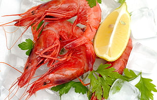 cooked shrimp wit slice lemon