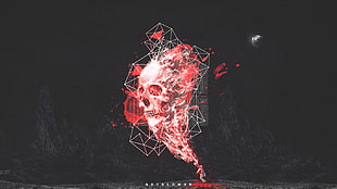 red skull digital wallpaper, skull, noisia, space HD wallpaper