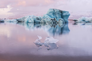 white iceberg,  Jokulsarlon, Iceland, sea, iceberg