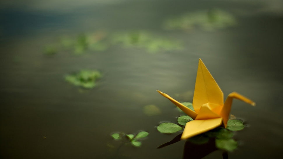 selective focus photography of yellow origami on water HD wallpaper