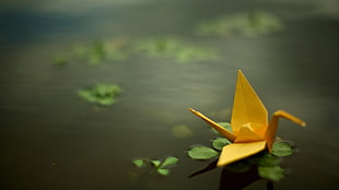 selective focus photography of yellow origami on water