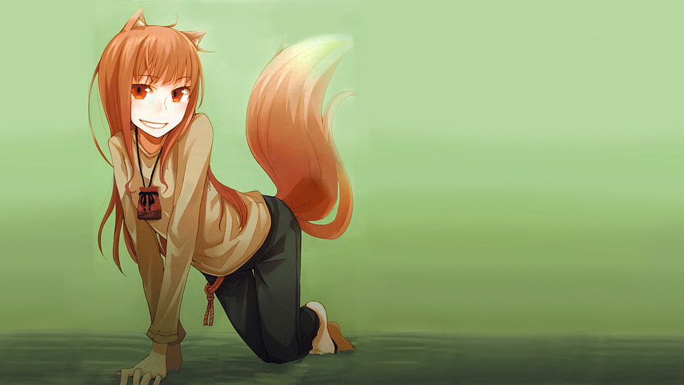 female anime character, Holo, Spice and Wolf, Okamimimi HD wallpaper