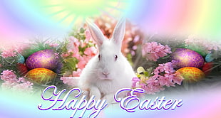 Happy Easter wall decoration HD wallpaper