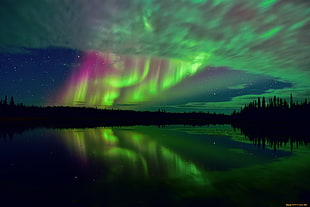 green aurora lights, aurorae, nature, water, reflection