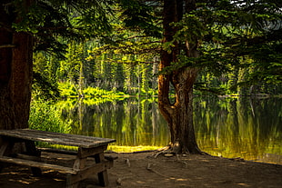 brown wooden picnic table near The river
