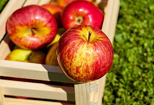 depth of field photography of red Apple on edge of wooden crate