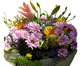 bouquet of pink and orange daisies