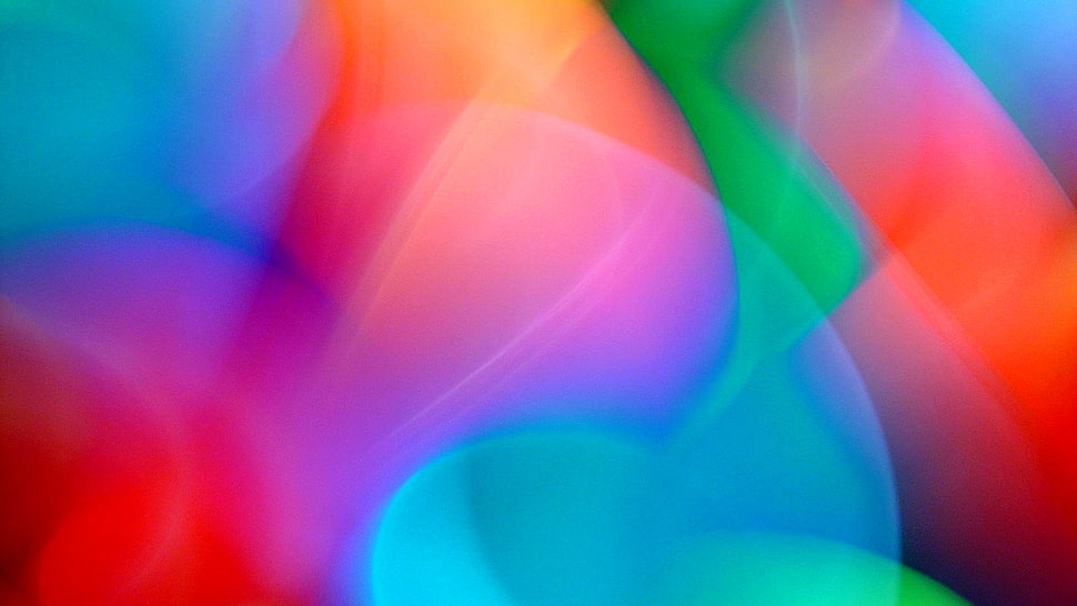 multicolored wallpaper HD wallpaper