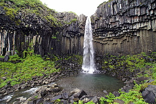waterfalls with surrounding green plants, iceland