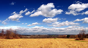 brown field under white and blue cloudy sky during daytime