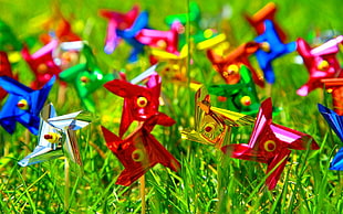 green grass field with red, yellow, and blue decors