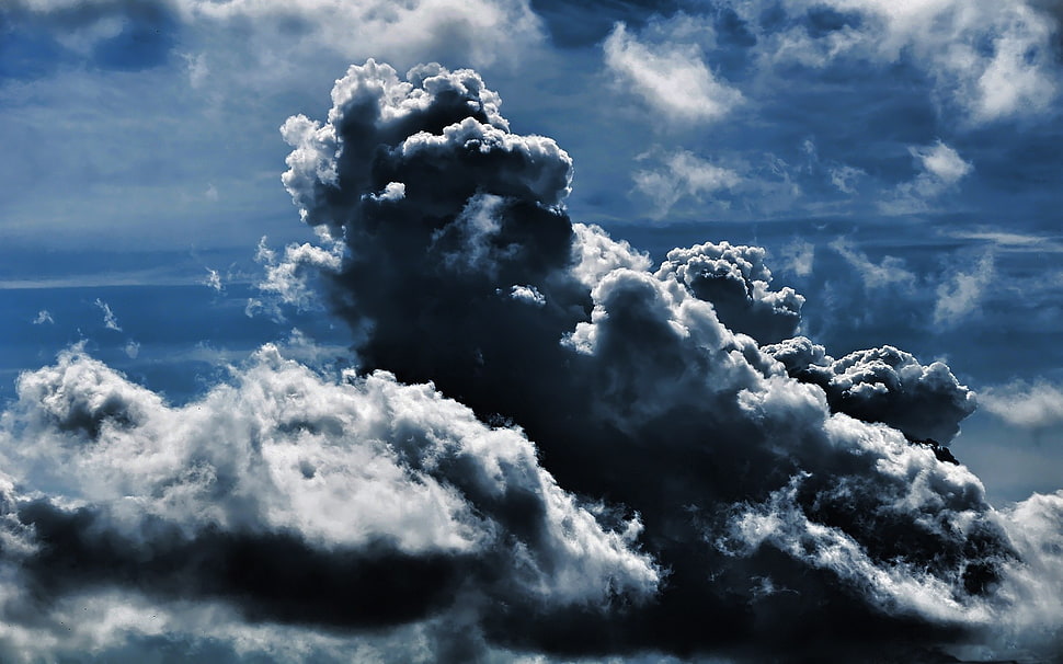 black and white floral textile, clouds, abstract HD wallpaper