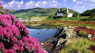 landscape photography of house near body of water surrounded by mountain and flowers